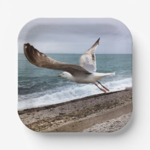 Assiettes En Carton Le goëland d'Etretat français