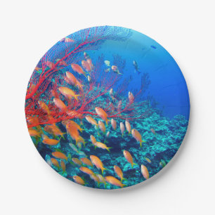 Assiettes En Carton Le récif corallien sous-marin de poissons tropica