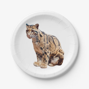 Assiettes En Carton léopard obscurci photo jungle gros animal de chat