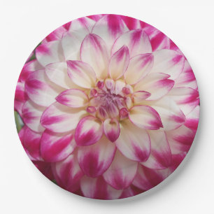 Assiettes En Carton Les Beaux