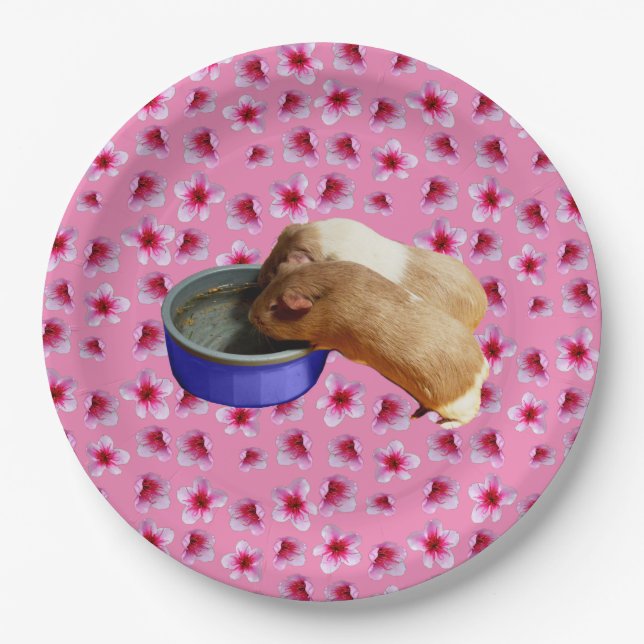 Assiettes En Carton Les Cochons De Guinée Sur Les Fleurs Roses, (Devant)