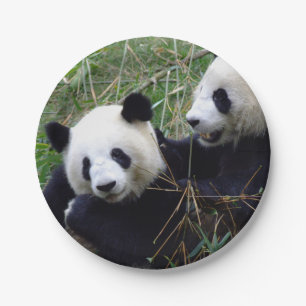Assiettes En Carton Les Ours de Panda géants mangent du bambou (fête d