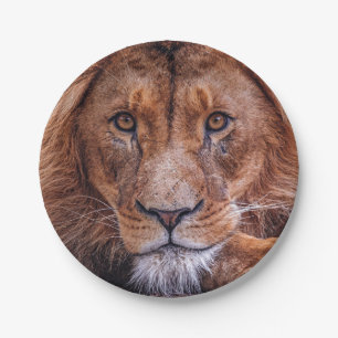 Assiettes En Carton Lion