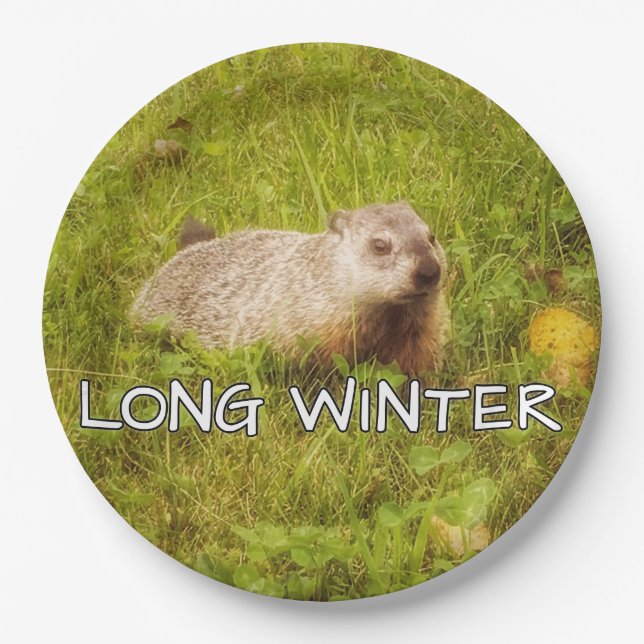 Assiettes En Carton Longue plaque d'hiver (Devant)