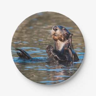 Assiettes En Carton Loutre de mer ensoleillée