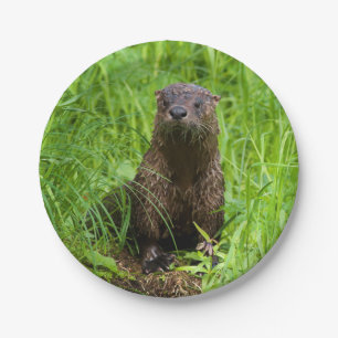 Assiettes En Carton Loutre de rivière intelligente