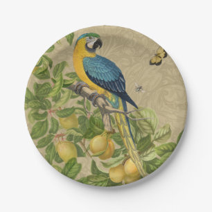 Assiettes En Carton Macaw Blue Jaune Tropical Jungle Antique