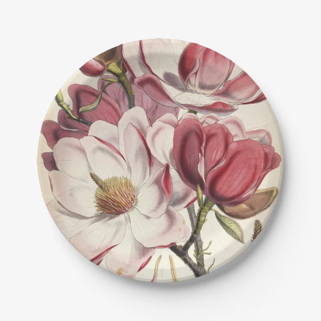 Assiettes En Carton Magnolia - Collection Botaniques (Devant)