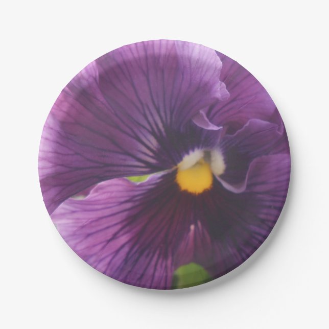 Assiettes En Carton Maîtresse (Devant)