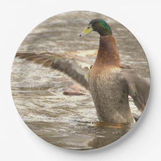 Assiettes En Carton Mallard Duck Paper Plates