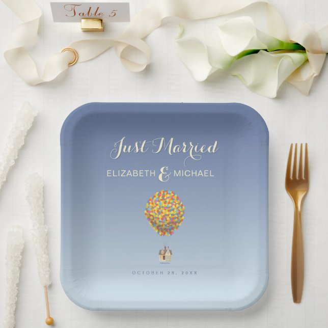 Assiettes En Carton Mariage Disney Pixar Up | Marié (Mariage)