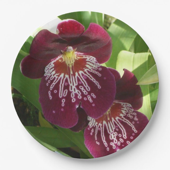 Assiettes En Carton Maroon Orchids II (Devant)