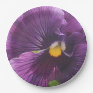 Assiettes En Carton Mechteld