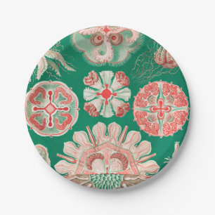 Assiettes En Carton Méduse, Discomedusae par Ernst Haeckel