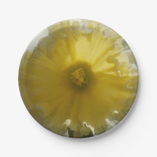 Assiettes En Carton Ménade