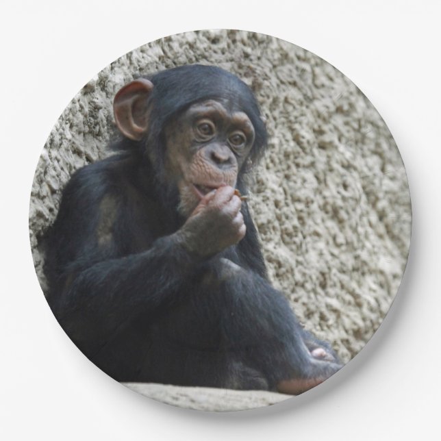 Assiettes En Carton Mer de Chimpané 013 (Devant)