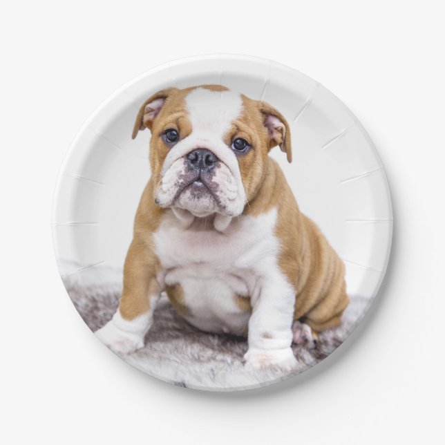 Assiettes En Carton Mignonne chiot Bulldog assis (Devant)