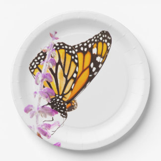 Assiettes En Carton Monarque perché sur la lavande