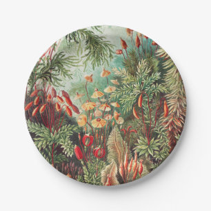 Assiettes En Carton Mosses, Muscinae Laubmoose par Ernst Haeckel