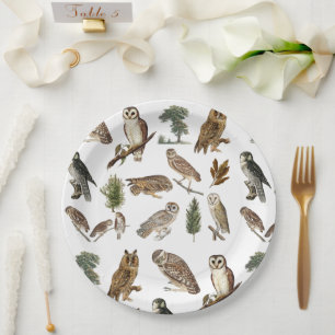 Assiettes En Carton Motif de forêt de l'aquarelle de la Chouette vinta
