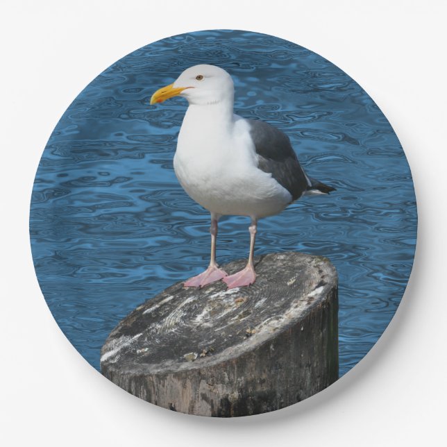 ASSIETTES EN CARTON MOUETTE (Devant)