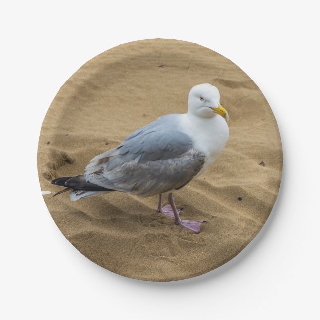 Assiettes En Carton Mouette sur plaque de papier de plage (Devant)