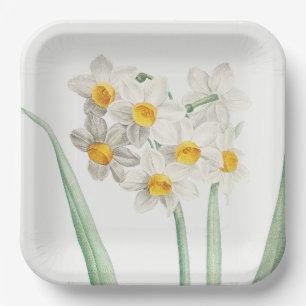 Assiettes En Carton Narcisse, Pierre-Joseph Redouté, 1805