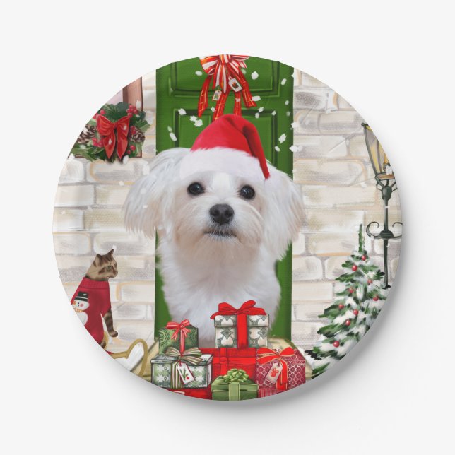 Assiettes En Carton Noël de chien maltais (Devant)