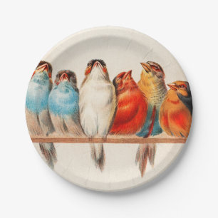 Assiettes En Carton Oiseaux Assis joliment et calmes