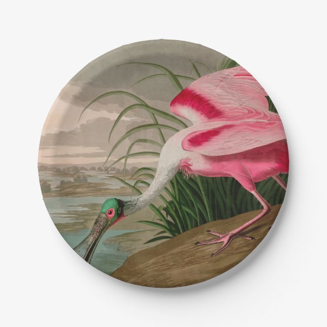 Assiettes En Carton Oiseaux d'Amérique de spatule de rose Audubon Impr (Devant)
