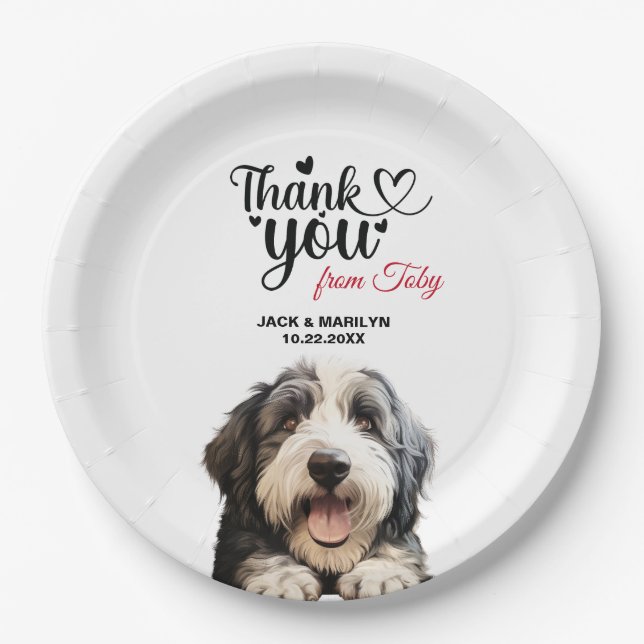 Assiettes En Carton Old English Sheepdog (Devant)
