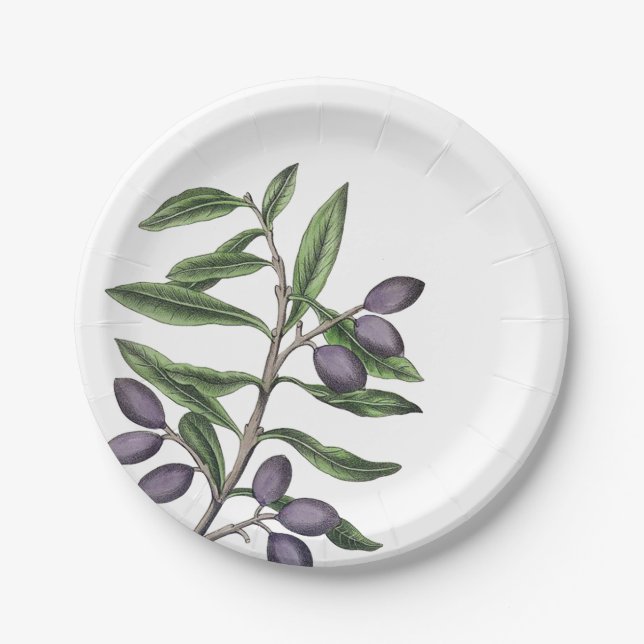 Assiettes En Carton Olive Tree Branch Green Purple Plate (Devant)