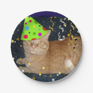 Assiettes En Carton Orange Tabby Cat