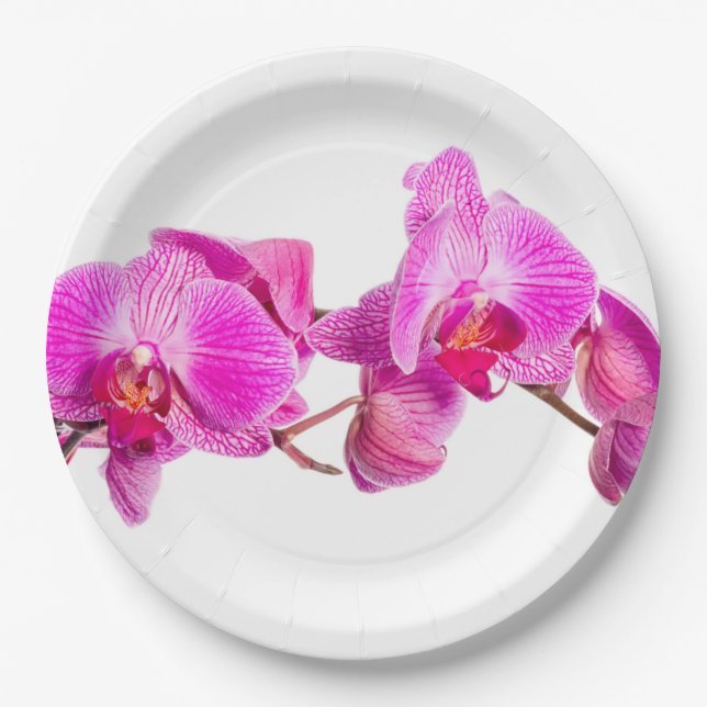 Assiettes En Carton Orchidée (Devant)