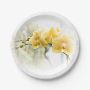 Assiettes En Carton Orchidée à papillon jaune sous le soleil