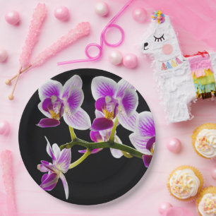 Assiettes En Carton Orchidée blanche et violette