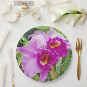 Assiettes En Carton Orchidées pourpres de Cattleya