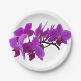Assiettes En Carton Orchidées violettes sur plaque de papier