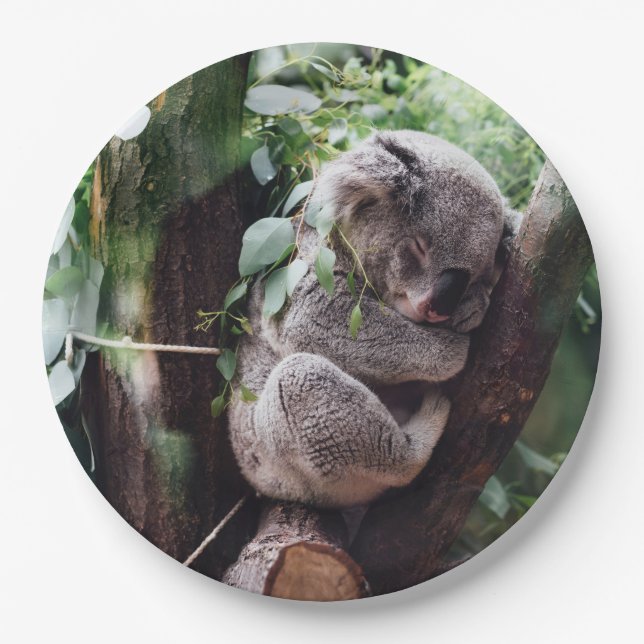 Assiettes En Carton Ours de koala mignon détendant dans un arbre (Devant)