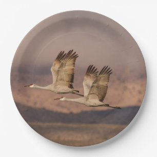 Assiettes En Carton Paire de grues dans le Nouveau-Mexique Ciels