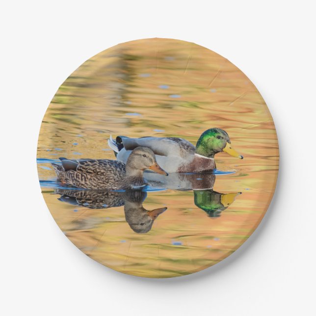 Assiettes En Carton Paire de Mallards (Devant)