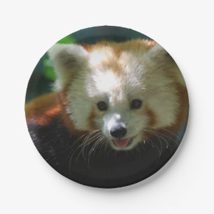 Assiettes En Carton Panda rouge extraordinaire