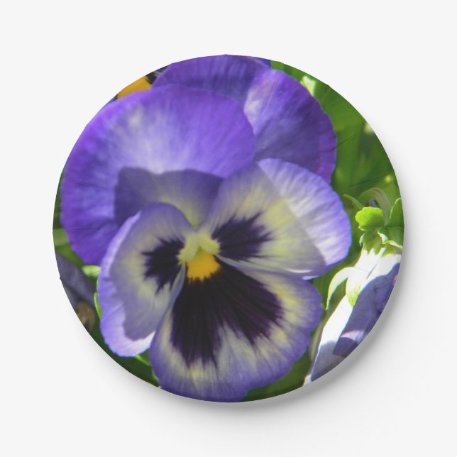 Assiettes En Carton Pansies (Devant)