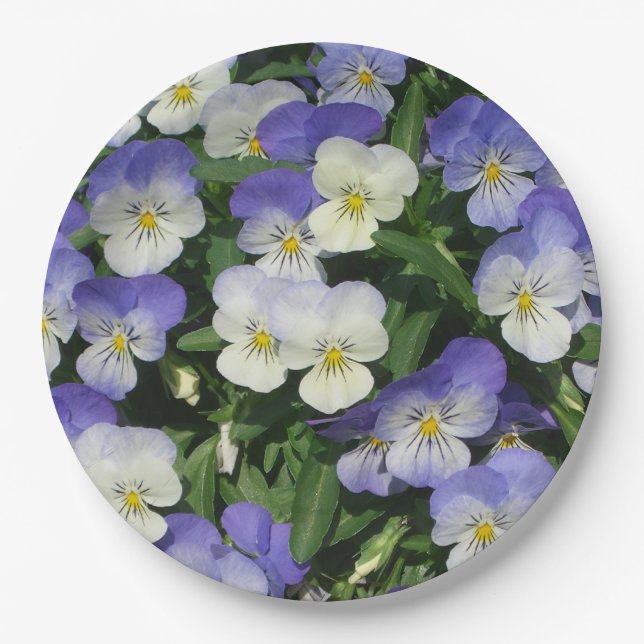 Assiettes En Carton Pansies violettes Jardin Floral (Devant)