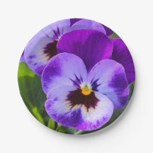 Pansy de pong géant remplit ce