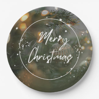 Assiettes En Carton Paper Plate