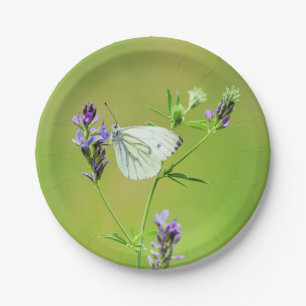 Assiettes En Carton Papillon Blanc à Veines Vertes