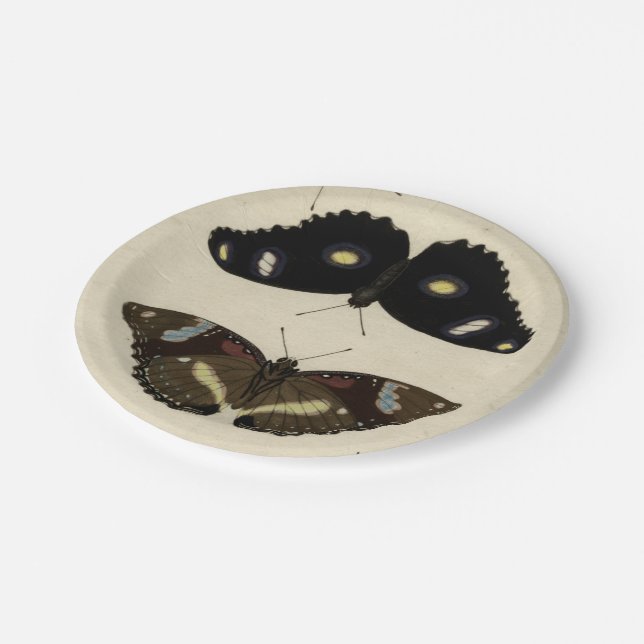 Assiettes En Carton Papillon coloré Medley sur Arrière - plan de crème (Angle)