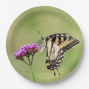 Assiettes En Carton Papillon d'épaisse du tigre oriental