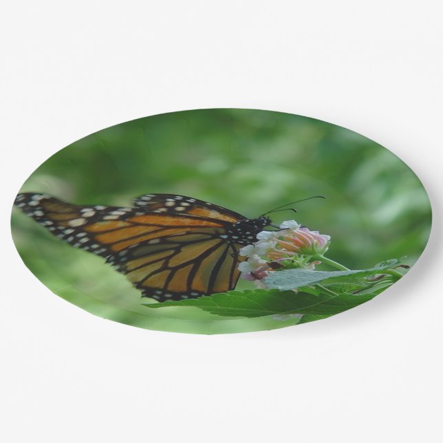 Assiettes En Carton Papillon monarque Fleur rose blanche (Angle)